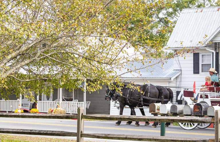 Carriage Rides